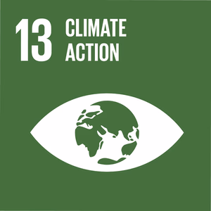 UN SDG 13: Climate Action